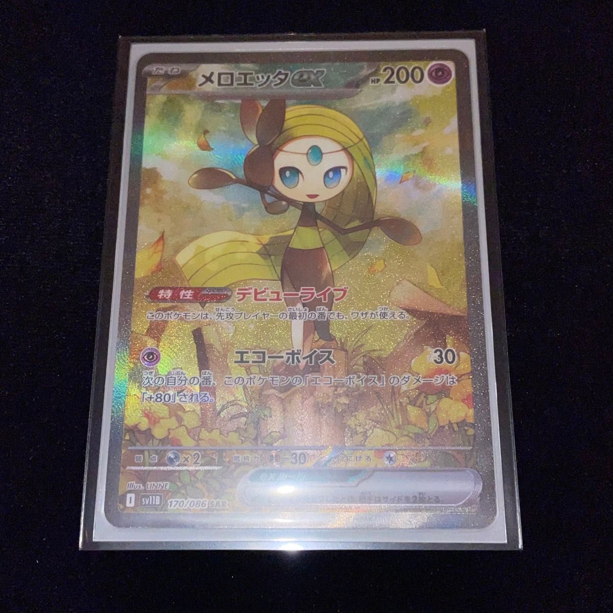 ポケモンカード BW メロエッタex SAR 2枚セット｜Yahoo!フリマ