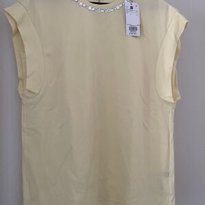 新品未使用 PLST ビジューネックダブルスリーブ(半袖)