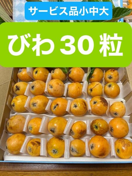 収穫発送果物びわ 30粒 栄養補給果物びわ 果物フルーツ野菜スイーツジャムコンポートに