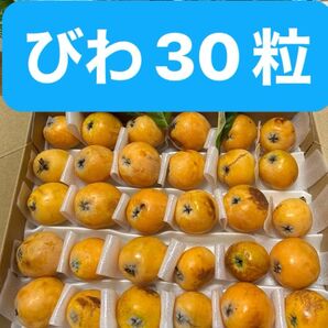 疲労回復びわ 30粒 収穫発送果物びわ 果物フルーツ野菜スイーツジャムコンポートに