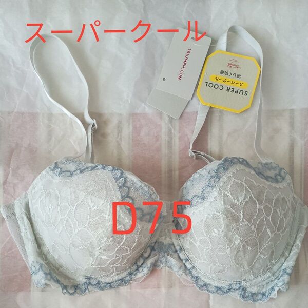 トリンプ ワイヤーブラ Triumph D75