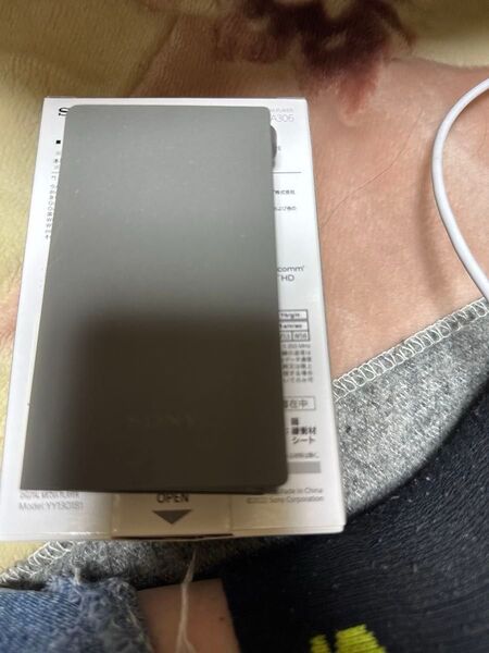 ウォークマンAシリーズ 32GB NW-A306(H) グレー
