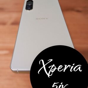 【A級美品】SONY Xperia 5 IV SOG09 国内版SIMフリー