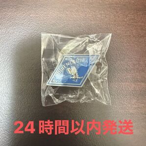 ハリーポッター コレクタブルピンバッジ レイブンクロー USJ