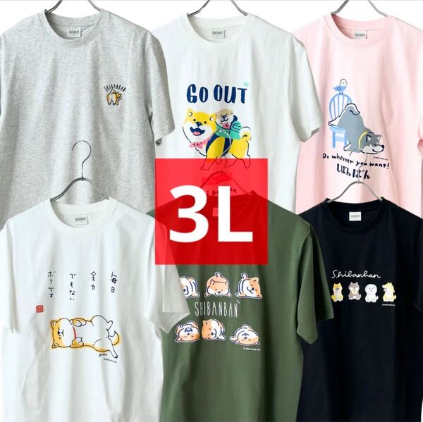 3Lサイズ しばんばん Tシャツ 6枚セット 綿100% 芝犬 犬 動物 かわいい 子犬 大きいサイズ ルームウェア パジャマ