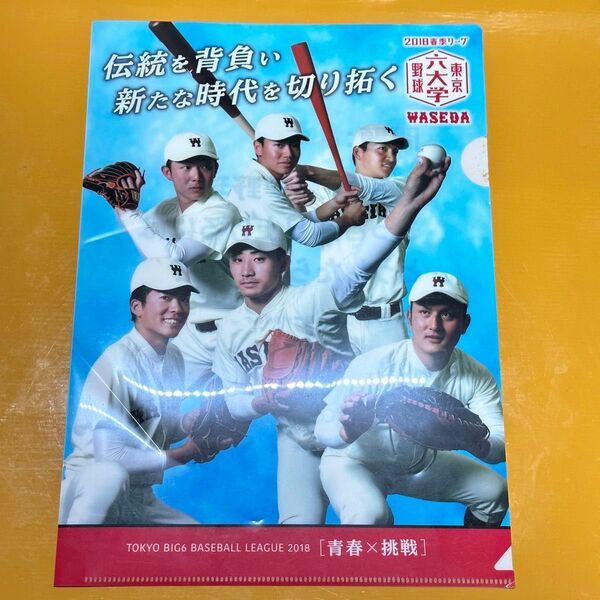 東京六大学野球 早稲田大学 小島和哉 クリアファイル