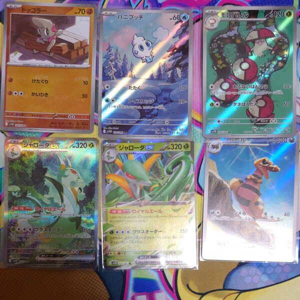 ポケモンカード ブラックボルト ホワイトフレア ジャローダSAR+5枚の計6枚セット