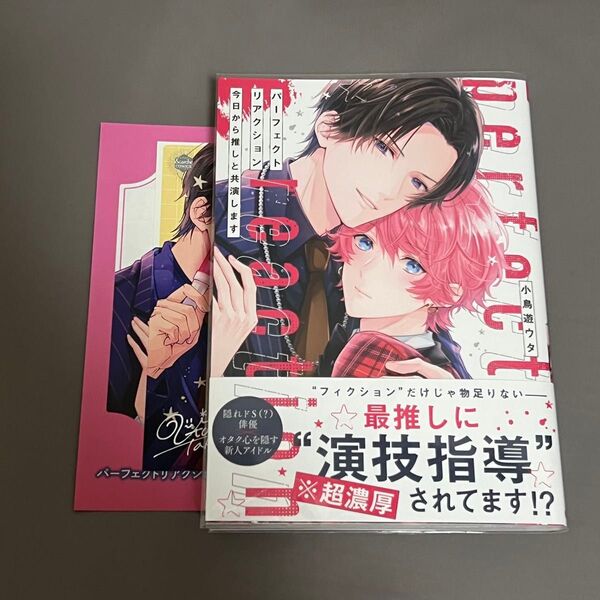 BL漫画 パーフェクトリアクション 今日から推しと共演します 小鳥遊ウタ