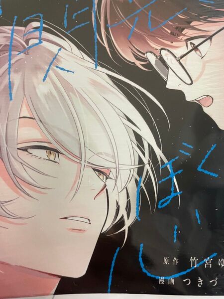 あれは閃光、ぼくらの心中 1 (Seasons) 竹宮ゆゆこ/原作 つきづきよし/漫画