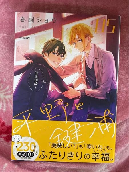 平野と鍵浦 5 通常盤 春園ショウ