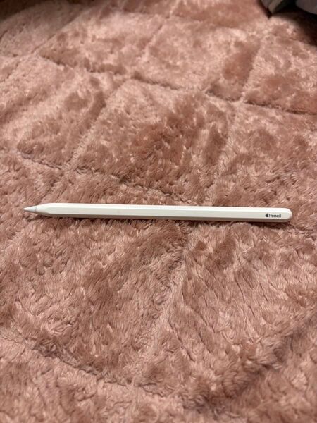 アップル ペンシル 第2世代 Apple Pencil