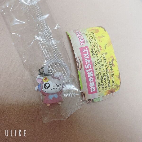 とっとこハム太郎 めじるしアクセサリー ちゅりー! リボンちゃん