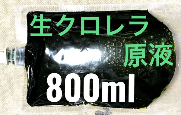 【最安値】 毎週入荷 生クロレラ 原液 800ml 生き餌 産卵促進 メダカ 金魚 熱帯魚 稚魚 栄養食