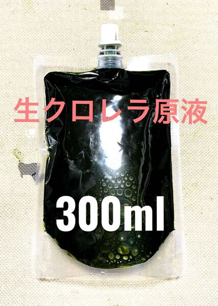 【最安値】 生クロレラ 原液 300ml 生き餌 産卵促進 メダカ 金魚 熱帯魚