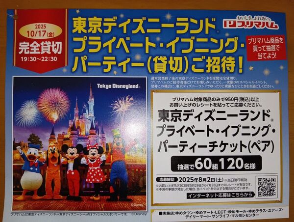 東京ディズニーランド ペアチケット貸切ナイト