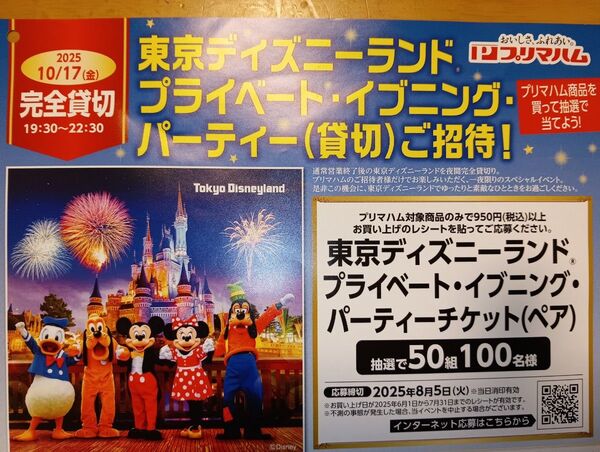 東京ディズニーランド 貸切ペアチケット カテゴリー変更OK レシート応募