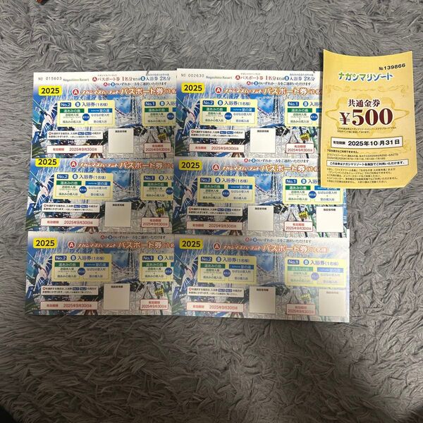 ナガシマスパーランド パスポート券6枚 共通金券500円分