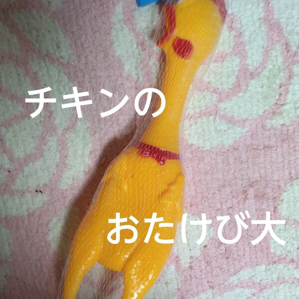にわとりの音が鳴るおもちゃ チキンのおたけび大