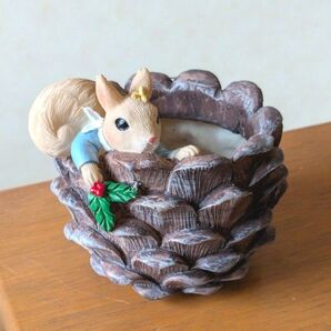 かわいいリスの植木鉢 まつぼっくり りす 多肉植物 ハオルチア エケベリア サボテン プランター ガーデニング