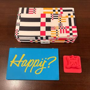 嵐 are you happy? 会報フォルダー アラフェス 嵐フェス シリコンモールド 座席マット ライブグッズ 3点セット