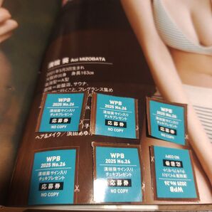 溝端葵 サインチェキ応募券6枚 週刊プレイボーイ