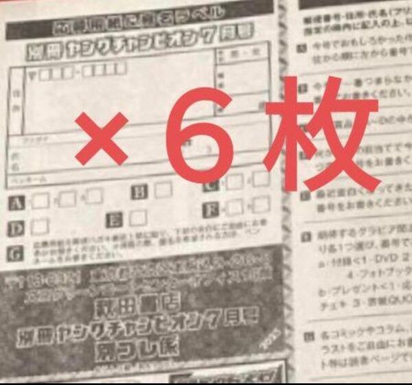 篠崎愛 特製クオカード懸賞応募用紙6枚 別冊ヤングチャンピオン