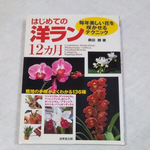 はじめての洋ラン12ヶ月 奥田勝 成美堂出版