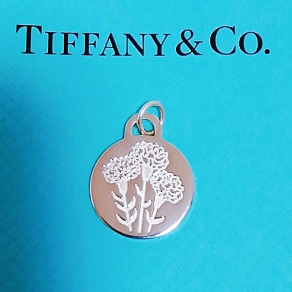 送料無料 TIFFANY&Co. ティファニーネックレスのチャームのみ 2022 名古屋ウィメンズマラソン ペンダントトップ