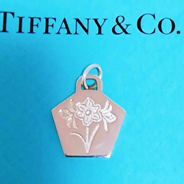 送料無料 TIFFANY&Co. ティファニーネックレスのチャームのみ 2021 名古屋ウィメンズマラソン ペンダントトップ