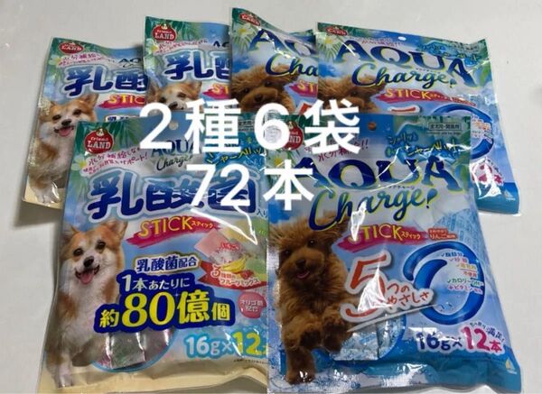 マルカン アクアチャージ 乳酸菌入りスティック 、アクアチャージスティック 2種6袋 72本 シャーベットにも 水分補給 犬
