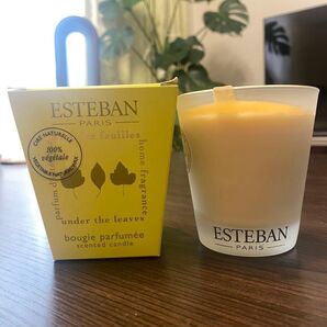 ESTEBAN キャンドル Under the leaves