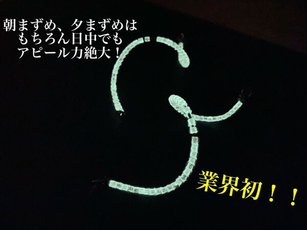 【premium grow】管釣り エリアトラウト 【形状記憶】海鱒スパイラルPro 左右セット 2.3g
