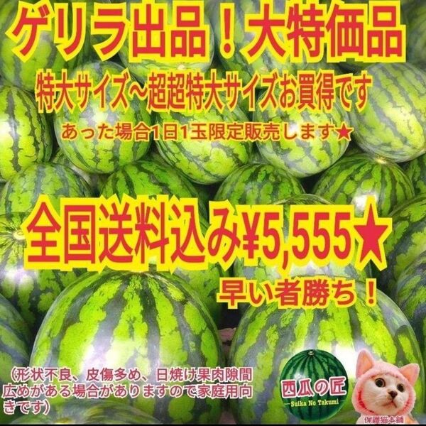 1日1玉先着1名様★西瓜の匠厳選某ブランド西瓜(特大11kg以上果肉隙間あり)