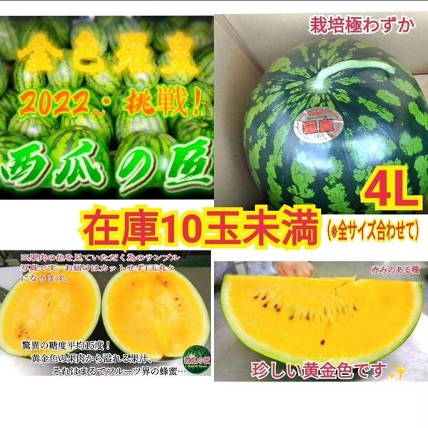 数量限定/栽培超難度品種/西瓜の匠2022〜挑戦の西瓜 御予約殺到お早目にどうぞ(4L1玉入り)