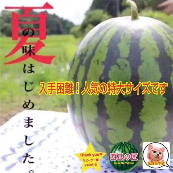 大好評リピーター様続出★西瓜の匠厳選某ブランド西瓜(特大11kg〜)