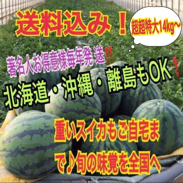 【数量限定】入手困難希少サイズ!西瓜の匠元祖サプライズBIGスイカ 人生初めての感動をこの夏体験しませんか