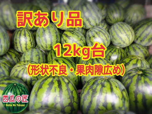 訳あり特価★早い者勝ち★西瓜の匠厳選某ブランド西瓜 売上収益全額保護活動費用利用