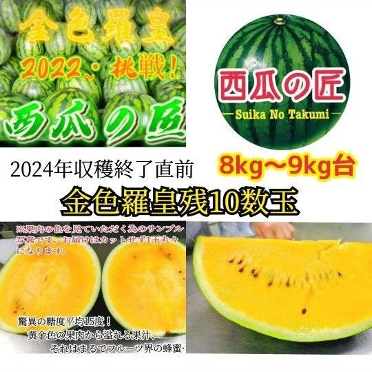 数量限定/栽培超難度品種/西瓜の匠2022〜挑戦の西瓜 御予約殺到お早目にどうぞ(3L1玉入り)