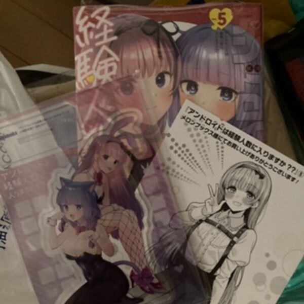 アンドロイドは経験人数に入りますか?? 5巻 メロンブックス特典 アクリルスタンド リーフレットセット 新品②