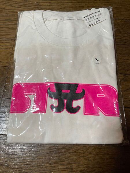 【未開封 未使用】浜崎あゆみ 2005-2006カウントダウンライブTシャツ L Tシャツ STRコラボ