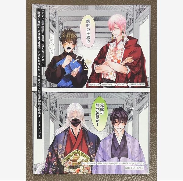 チシュ王の婚姻&腐男子召喚11 アニメイト連動購入特典リーフレットのみ