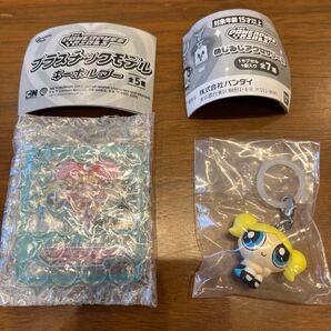 パワーパフガールズ プラスチックモデル&めじるしアクセサリー2