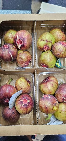 和歌山産いちじく4P