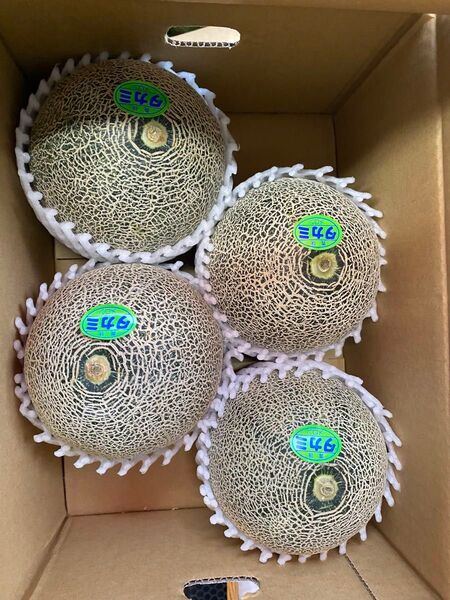 タカミメロン4玉入り