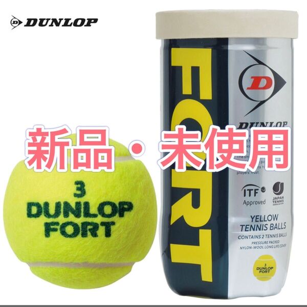 FORT(フォート) 硬式テニスボール ダンロップ 30缶60球