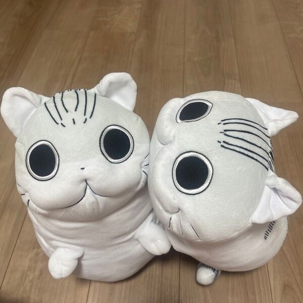 中古2点 キュルガ 夜は猫といっしょ キュルガ ぬいぐるみ