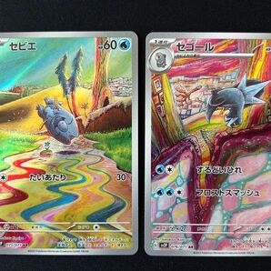 セビエ セゴール AR 2枚セット