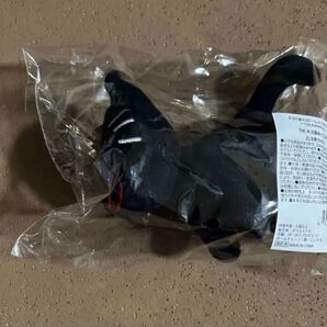 キヨ猫 キヨ キヨ猫ぬいぐるみ THEキヨ猫ぬいぐるみ ぬいぐるみ 東キヨドーム キヨの東キヨドーム