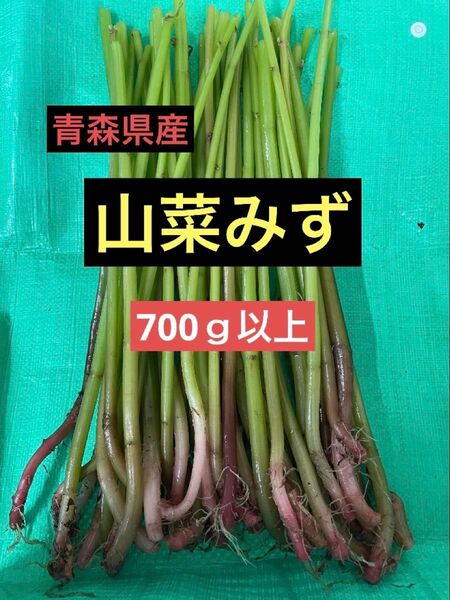6/30.7/1発送予定青森県産天然ミズ山菜みず700g以上