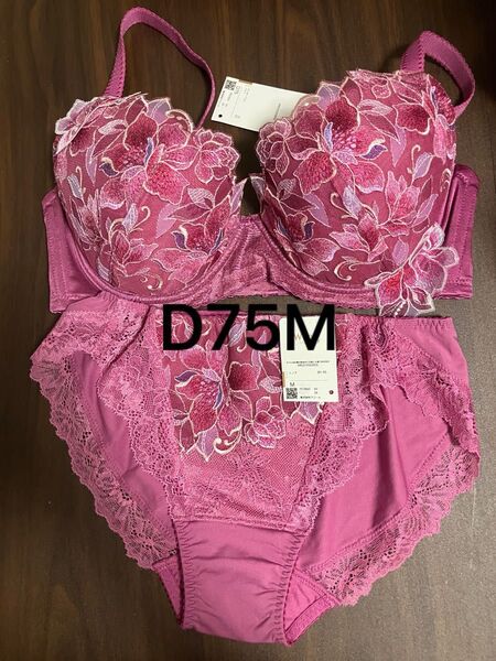 ブラジャー ショーツセット ワコール ウイング レシアージュ D75M